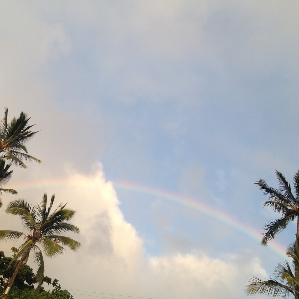 Meet your Posher, Anela